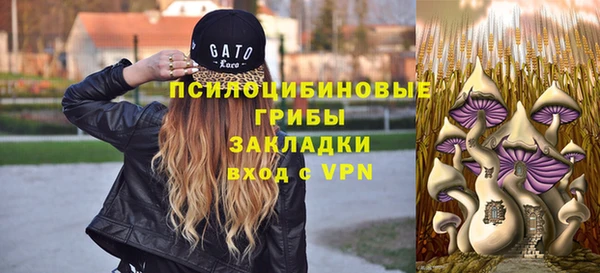 apvp Армянск