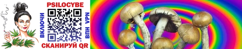 Галлюциногенные грибы Psilocybine cubensis  даркнет сайт  Бокситогорск 